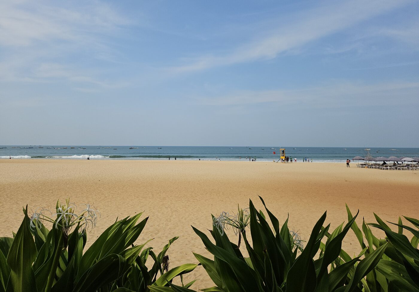 Goa